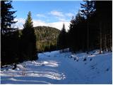 Fusine Laghi - Kopa / Monte Coppa